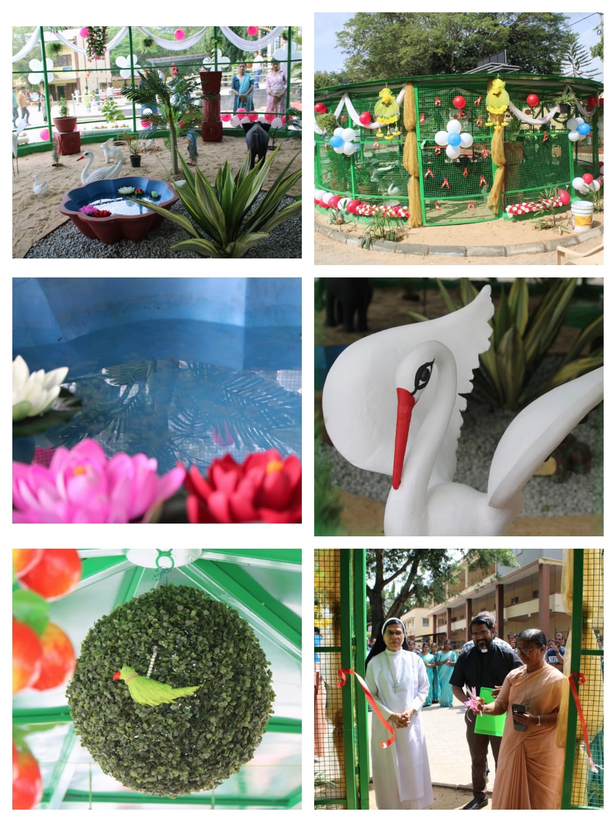 News & Events